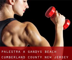 palestra a Gandys Beach (Cumberland County, New Jersey)