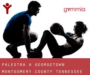 palestra a Georgetown (Montgomery County, Tennessee)