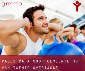 palestra a Goor (Gemeente Hof van Twente, Overijssel)