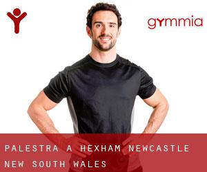 palestra a Hexham (Newcastle, New South Wales)