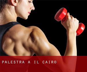 palestra a Il Cairo