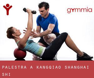 palestra a Kangqiao (Shanghai Shi) palestra a Kangqiao (Shanghai Shi)