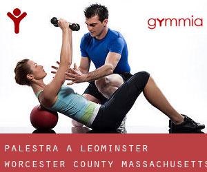 palestra a Leominster (Worcester County, Massachusetts)