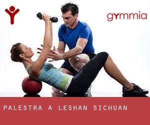 palestra a Leshan (Sichuan) palestra a Leshan (Sichuan)