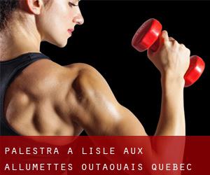 palestra a L'Isle-aux-Allumettes (Outaouais, Quebec)
