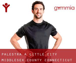 palestra a Little City (Middlesex County, Connecticut)