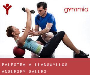 palestra a Llangwyllog (Anglesey, Galles)
