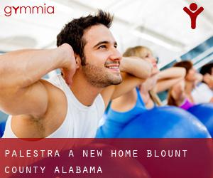 palestra a New Home (Blount County, Alabama)