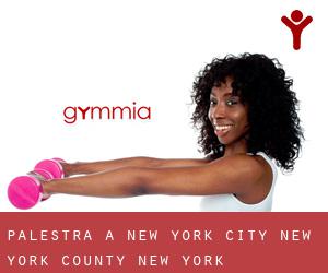 palestra a New York City (New York County, New York) palestra a New York City (New York County, New York)