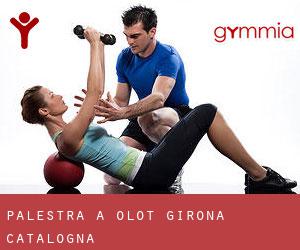 palestra a Olot (Girona, Catalogna) palestra a Olot (Girona, Catalogna)