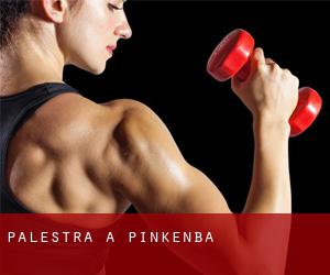 palestra a Pinkenba palestra a Pinkenba