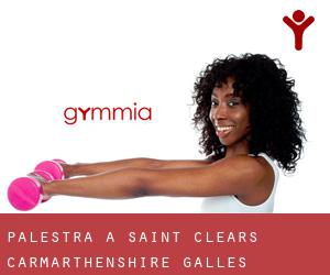 palestra a Saint Clears (Carmarthenshire, Galles)