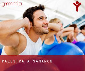 palestra a Samangān