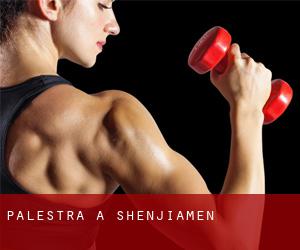 palestra a Shenjiamen palestra a Shenjiamen