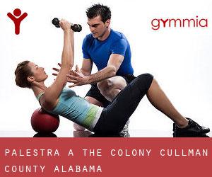 palestra a The Colony (Cullman County, Alabama) palestra a The Colony (Cullman County, Alabama)