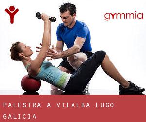 palestra a Vilalba (Lugo, Galicia) palestra a Vilalba (Lugo, Galicia)