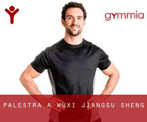 palestra a Wuxi (Jiangsu Sheng) palestra a Wuxi (Jiangsu Sheng)