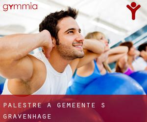 palestre a Gemeente 's-Gravenhage palestre a Gemeente 's-Gravenhage