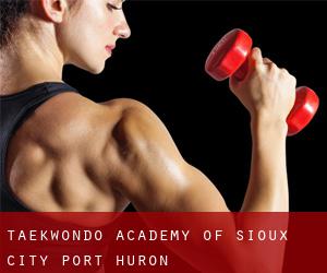Taekwondo Academy of Sioux City (Port Huron)